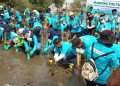 Penanaman Pohon Mangrove di Pantai Kesunean Kota Cirebon. Babinsa : Lestarikan Ekosistem Pesisir.