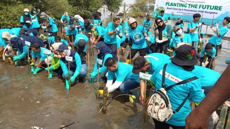 Penanaman Pohon Mangrove di Pantai Kesunean Kota Cirebon.  Babinsa : Lestarikan Ekosistem Pesisir.