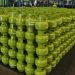 Cegah Penyimpangan, Polda Metro Jaya Perketat Pengawasan Distribusi LPG Subsidi 3 Kg