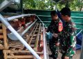 Upaya Meningkatkan Ketahanan Pangan dan Kesejahteraan dengan Budidaya Ayam Petelur