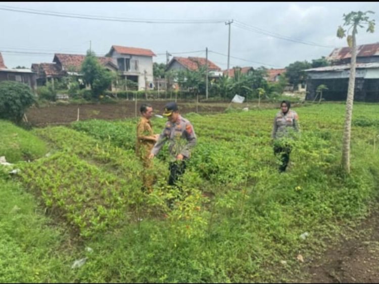 Polsek Kedawung Polres Ciko dorong Ketahanan pangan berkelanjutan.      