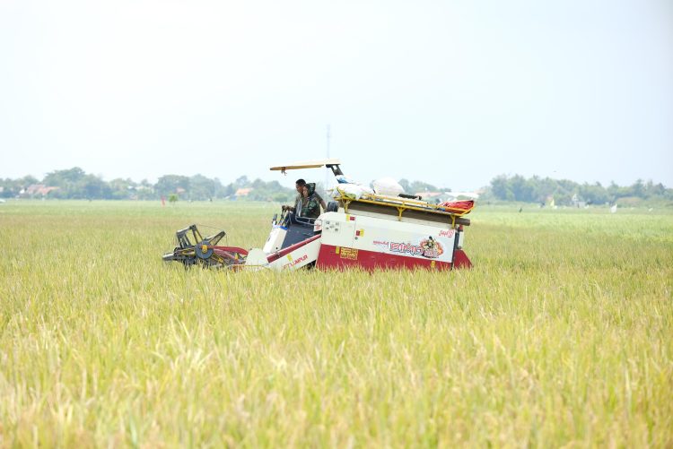 140 Ribu ton terserap, Progres Serapan Gabah/Beras BULOG Menjelang Bulan Ramadhan 