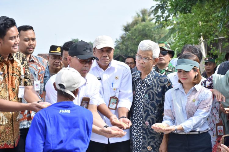 BULOG Cetak Rekor Tertinggi 10 Tahun Terakhir, Penyerapan Gabah Petani Capai 725.000 Ton Setara Beras