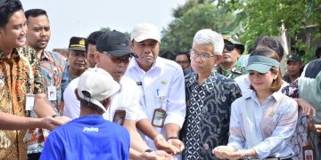 BULOG Cetak Rekor Tertinggi 10 Tahun Terakhir, Penyerapan Gabah Petani Capai 725.000 Ton Setara Beras