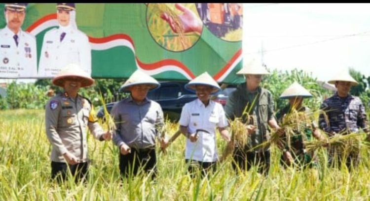 Kapolres Cirebon Kota Hadiri Panen Raya Padi Serentak di kota Cirebon Bersama Presiden RI Secara Daring.