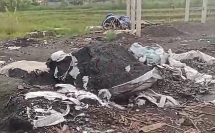 Skandal Lingkungan! Pabrik Besi Boja Diduga Buang Limbah Beracun ke Sawah Warga