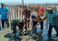 Babinsa Kesepuhan Ikuti Kegiatan Penanaman Mangrove dan Clean Up di Pesisir Pantai.