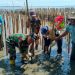 Babinsa Kesepuhan Ikuti Kegiatan Penanaman Mangrove dan Clean Up di Pesisir Pantai.