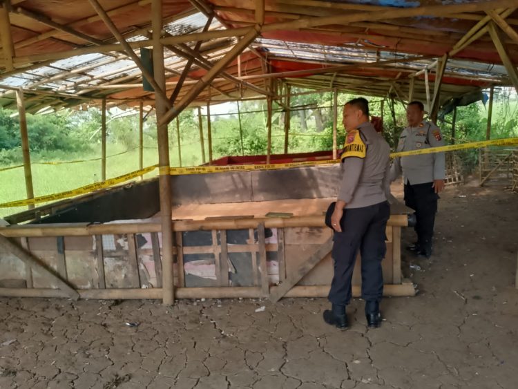 Respon Cepat Polisi, Arena Sabung Ayam di Desa Pangadegan Pasar Kemis Dibongkar Bersama Warga