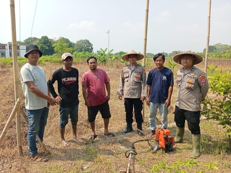 Dalam mendukung Program Ketahanan Pangan dan Swasembada Pangan, Kanit Binmas Polsek Kresek melaksanakan Pengecekan Lahan Guna Penanaman Jagung Hybrida