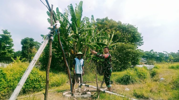 Tingkatkan Hanpangan di Wilayah : Babinsa Lakukan Pendampingan Petani.