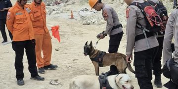 Unit K-9 Polda Jabar Temukan Tiga Titik Diduga Korban Longsor di Gunung Kuda Cirebon