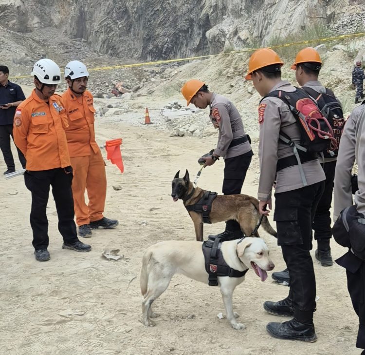 Unit K-9 Polda Jabar Temukan Tiga Titik Diduga Korban Longsor di Gunung Kuda Cirebon