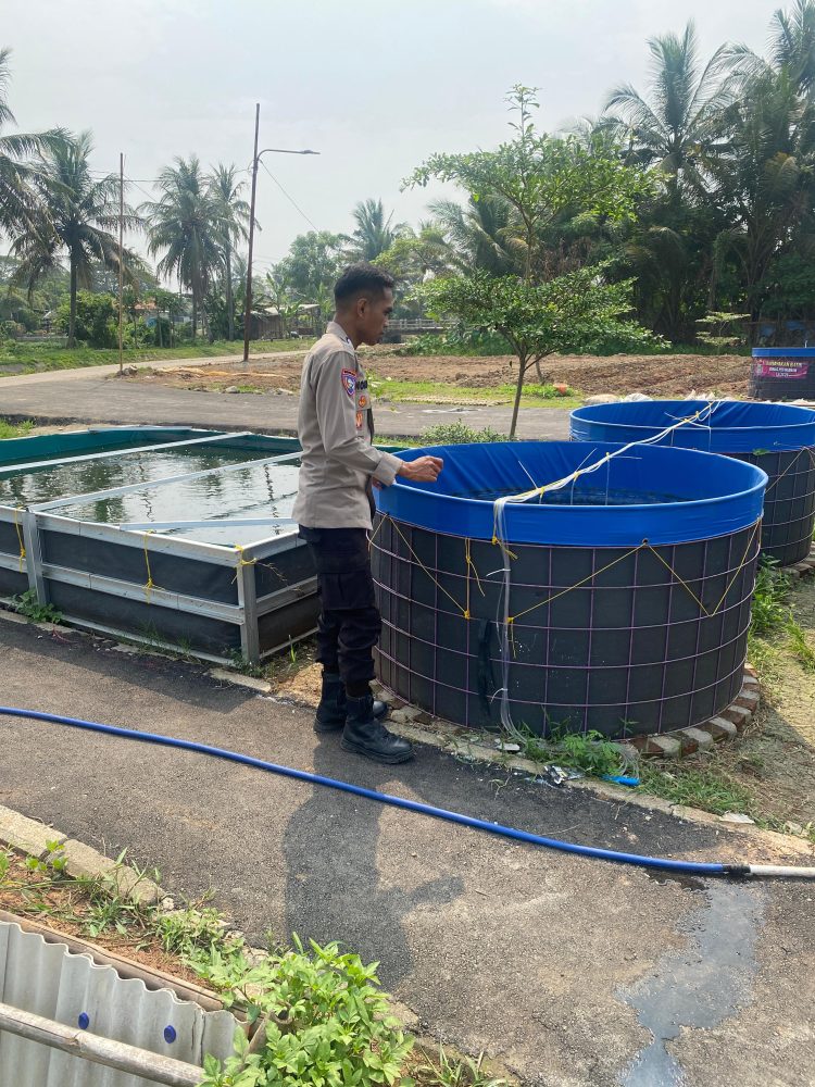 Bhabinkamtibmas Polsek Kronjo Polresta Tangerang Polda Banten Bripka Surono Melakukan Pembinaan terhadap Kelompok Tani Budidaya Ikan Lele di Desa Gandaria 