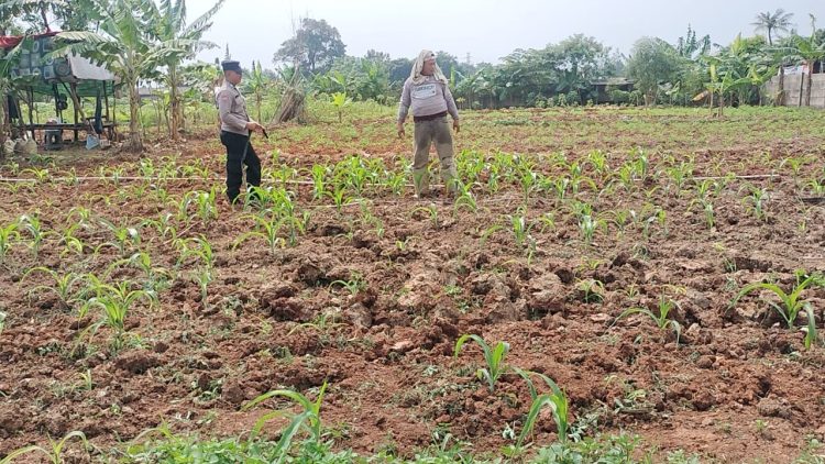 Dalam mendukung Program Ketahanan Pangan Bripka Landung Setyawan berikan motivasi kepada warga di Desa Pasar Kemis