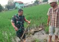 Sukseskan Ketahanan Pangan : Babinsa Dampingi Kegiatan Poktan Pengairan Sawah 