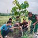 Peduli Alam dan Lingkungan Hidup, Babinsa Bersama DLH Kota Cirebon Laksanakan Reboisasi.