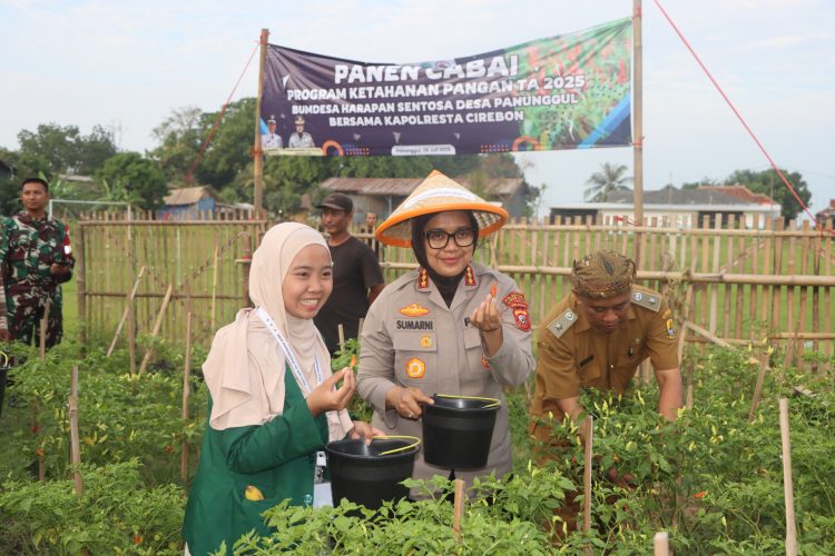 Polresta Cirebon Gelar Panen Raya Cabai, Penanaman Bibit Cabai dan Benih Ikan Lele di Desa Panunggul