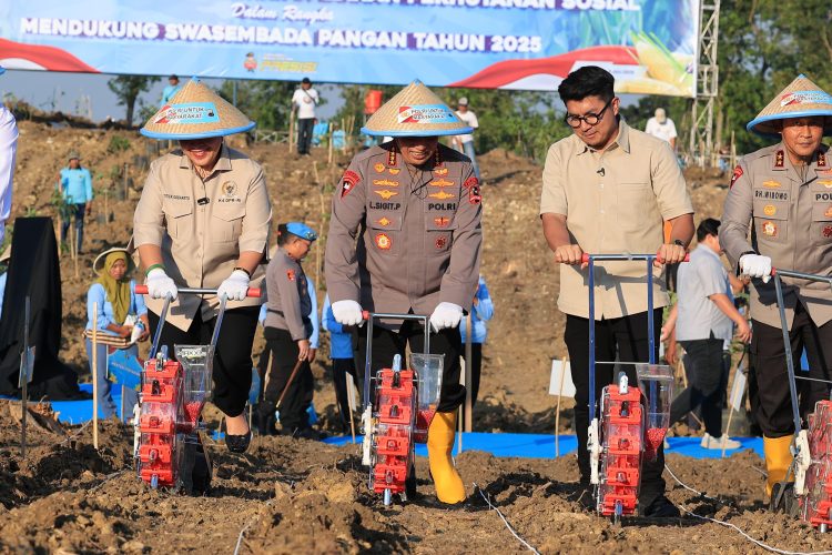 Kapolri Tegaskan Komitmen Polri Dukung Ketahanan Pangan Lewat Penanaman Jagung Serentak di Grobogan
