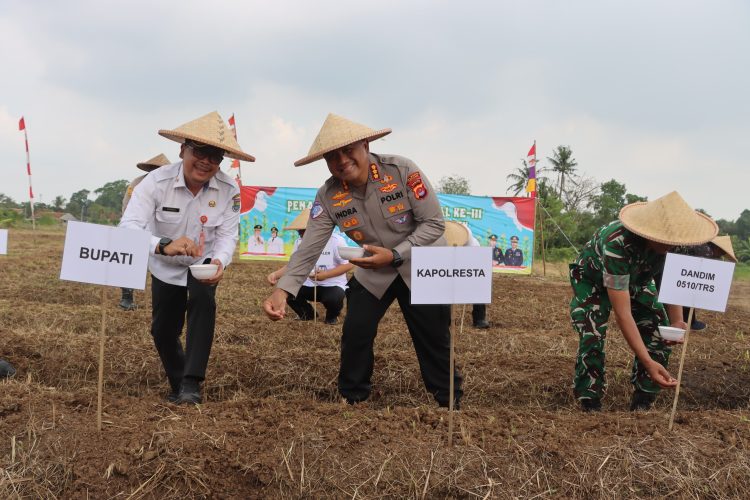 Penanaman Jagung Serentak Bersama Kapolri, Kapolresta Tangerang Siap Dukung Ketahanan Pangan di Setiap Tahapan