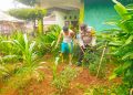 Bripka Ada Prantona Bhabinkamtibmas Polsek Balaraja Giat Pemanfaatan Lahan Sektor Ketahanan Pangan Cabe
