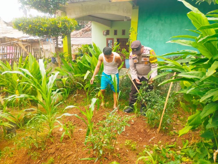 Bripka Ada Prantona Bhabinkamtibmas Polsek Balaraja Giat Pemanfaatan Lahan Sektor Ketahanan Pangan Cabe