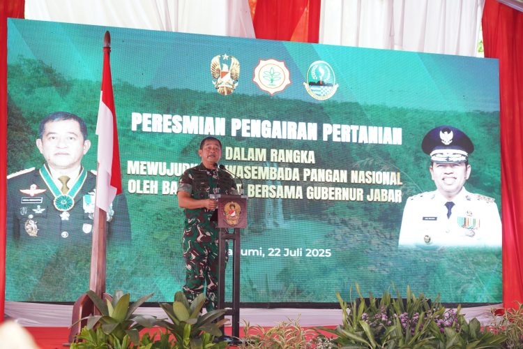 Hadirkan Air, TNI AD Hidupkan 424 Hektar Sawah Warga Sukabumi