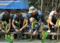 Taruna Bhayangkara Hijaukan Negeri Lewat Aksi Penanaman 100 Pohon Bakau di Jakarta Utara