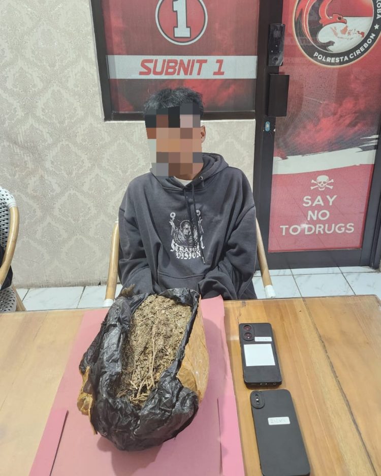Polresta Cirebon Bekuk Dua Pengedar Ganja Kering, Satu Kilogram Barang Bukti Diamankan