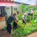 Bhabinkamtibmas Polsek Balaraja Polresta Tangerang Giat Pemanfaatan Lahan Sektor Ketahanan Pangan (Sayuran Cabe ) di Desa Tobat 51