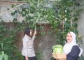 Kapolresta Cirebon Sambang Kamtibmas, Kunjungi Kebun Pekarangan Bergizi Warga di Desa Karangwangi