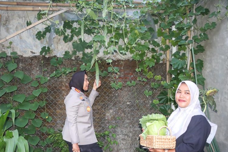 Kapolresta Cirebon Sambang Kamtibmas, Kunjungi Kebun Pekarangan Bergizi Warga di Desa Karangwangi