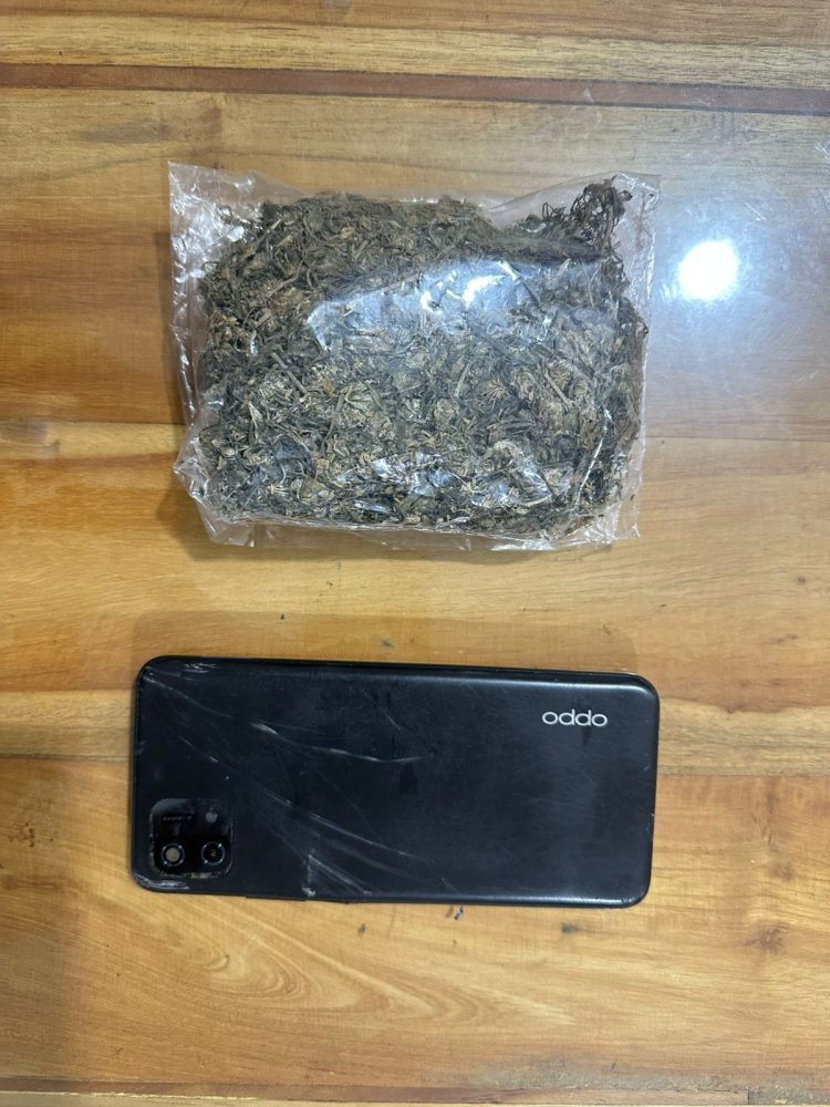 Polresta Cirebon Berhasil Ungkap Kasus Peredaran Ganja Kering, Empat Tersangka Diamankan