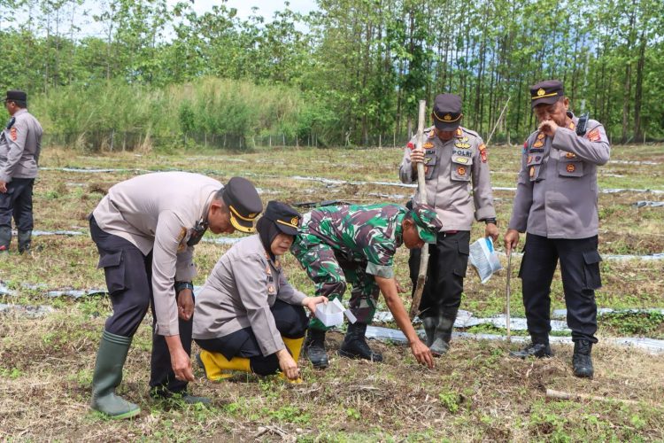 Polresta Cirebon Tanam Jagung Pipil di Desa Sumurkondang, Dukung Swasembada Pangan Nasional 2025