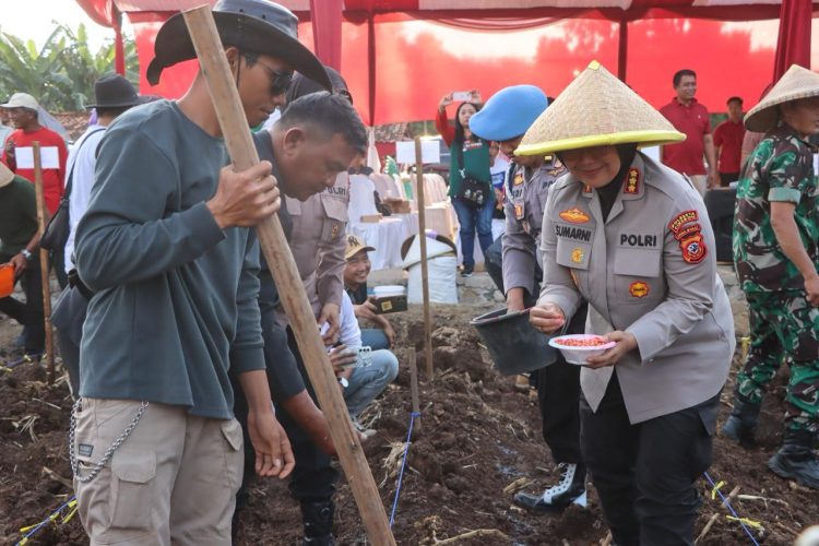 Polresta Cirebon Tanam Jagung Pipil 13 Hektar, Dukung Program Swasembada Pangan Presiden RI 2025