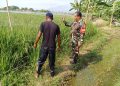 Babinsa Pulasaren dan Jagasatru Kolaborasi Dampingi Petani Dalam Pemeliharaan Tanaman Padi.
