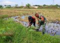Babinsa Kelurahan Larangan Dampingi Petani Siapkan Lahan untuk Musim Tanam Padi