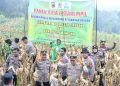 Polresta Cirebon Gelar Panen Jagung Dalam Rangka Mendukung Swasembada Pangan