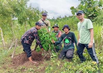 Dukung Penghijauan di Wilayah Binaan, Babinsa Desa Bumiayu Laksanakan Penanaman Pohon Bersama