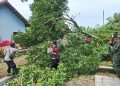 Polresta Cirebon Laksanakan Penanggulangan Pasca Bencana Alam Angin Puting Beliung