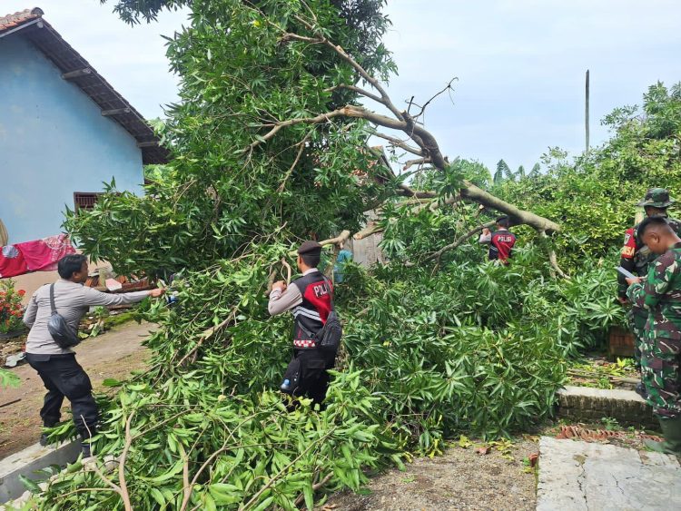 Polresta Cirebon Laksanakan Penanggulangan Pasca Bencana Alam Angin Puting Beliung