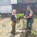 Babinsa Kelurahan Drajat Turun ke Sawah, Dukung Petani Tanam Padi, Sukseskan Swasembada Pangan Nasional.